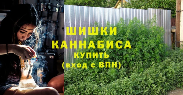 стаф Инсар