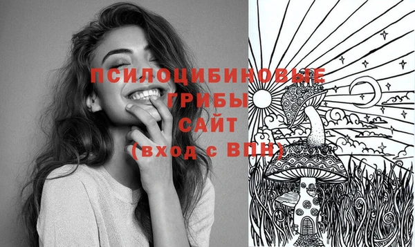 стаф Инсар