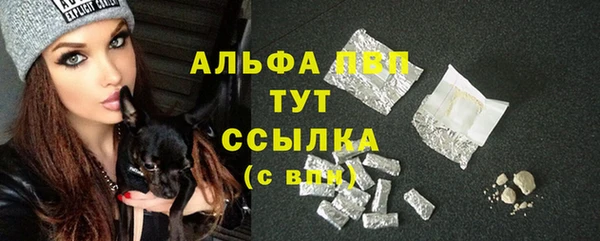прущие крисы Каменногорск