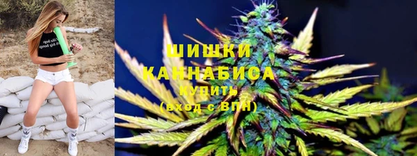 стаф Инсар