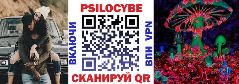 Галлюциногенные грибы Cubensis  KRAKEN зеркало  Новая Ладога 